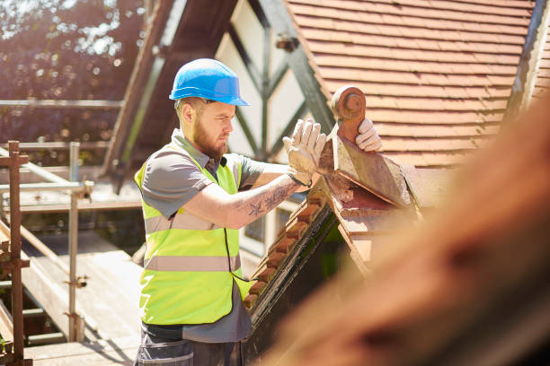 Best Metal Roofing Contractor  in Lowes Island, VA